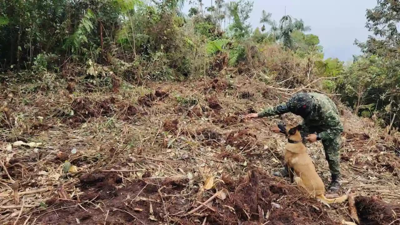 Ejército desactiva 30 explosivos sembrados por disidencias de Iván Mordisco en el Cauca