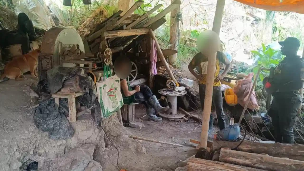 La Policía captura 23 mineros ilegales en Fredonia y recupera 40 reses en el Suroeste antioqueño