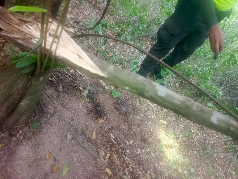 Hallan el cuerpo de Yulixa Toloza en Apulo: alcalde de Bogotá pide justicia por muerte en clínica ilegal