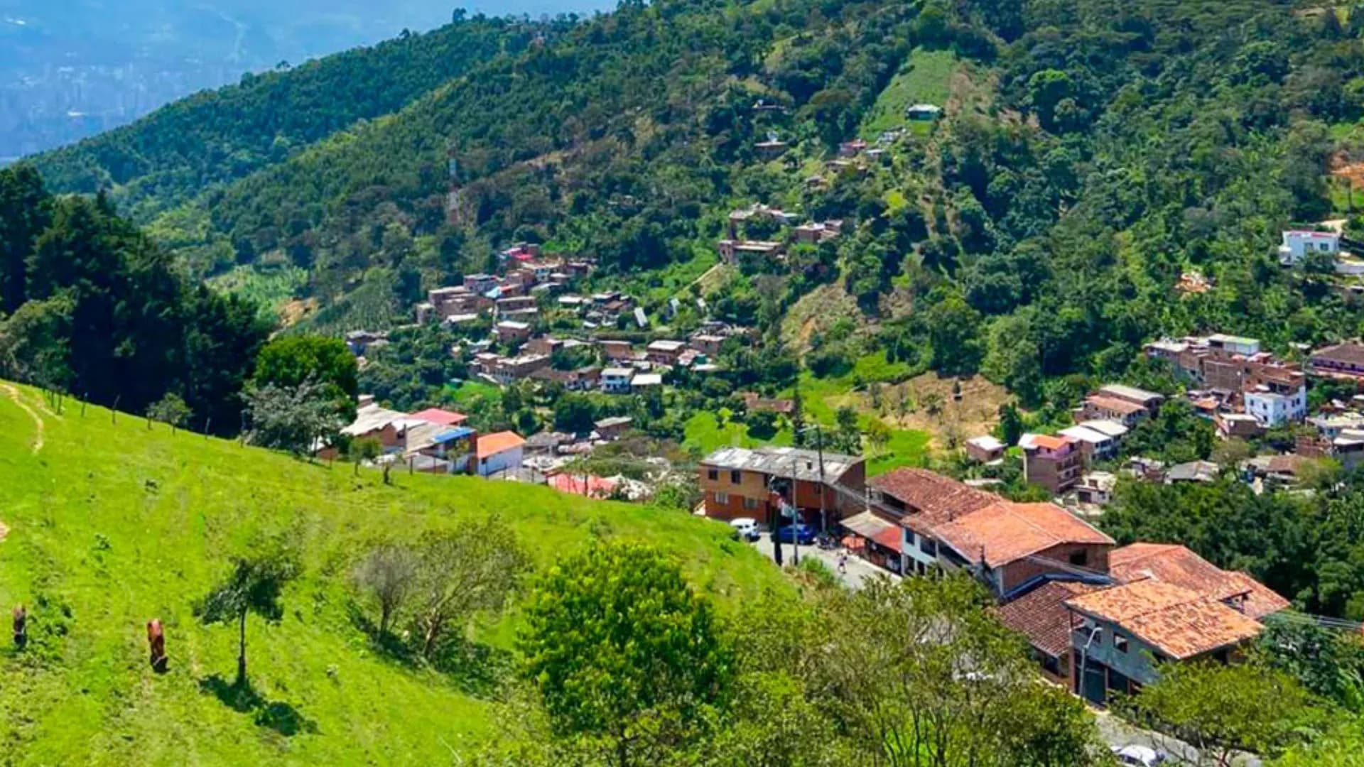 Medellín frena 35 construcciones ilegales en el Cerro de las Tres Cruces