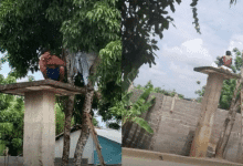 Comunidad denuncia abandono de hombre con problemas mentales en Puerto Libertador