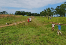 Más de mil personas ocupan terrenos en el sur de Montelíbano por falta de vivienda