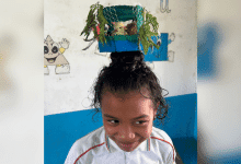 Una niña de Montería sorprende con "peinado" en forma de gallinero lleno de pollitos vivos