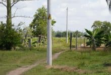 Tres Piedras tendrá más luz: anuncian segunda fase de electrificación para 36 familias rurales