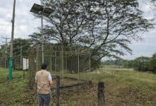 Córdoba en vilo: lluvia sin pausa y ríos desbordados ponen en riesgo municipios de la región