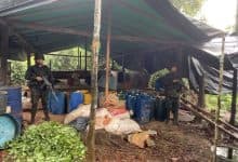 Ejército destruye seis laboratorios de coca presuntamente del Clan del Golfo en Tierralta