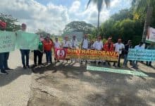 Trabajadores de Agrosavia bloquean vía Montería-Cereté para defender la investigación agrícola