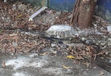 Aguas negras desbordan las calles de La Granja en Montería: vecinos piden ayuda urgente