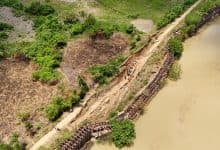 San Pelayo confirma que Boca de Mañe sigue bajo control: río Sinú monitoreado permanentemente