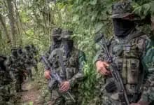 Gobierno suspende capturas de 29 integrantes del Clan del Golfo para concentración en Tierralta