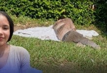 Joven de 19 años muere atropellada por camión de su esposo en zona rural de Montería
