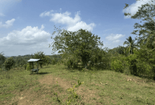Gobernación revisa nuevo terreno para la sede de colegio en Puerto Escondido