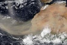 Polvo del Sahara llega al Caribe: Córdoba se prepara para cielos opacos