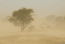 Alerta en Córdoba: polvo del Sahara cubrirá la región durante varios días