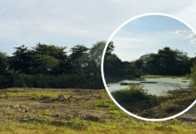CVS frena obras del parque ecológico La Candelaria por daños al humedal de Montelíbano