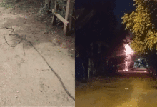 Incendio deja sin luz ni internet a Mateo Gómez; comunidad reclama acción urgente a Afinia