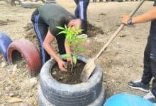 Policía y vecinos de Villa Cielo rescatan su parque ecológico con limpieza y siembra
