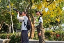 Montería apuesta por el aviturismo con jornada de observación de aves en el río Sinú