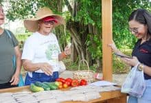 Veolia certifica a 20 familias de Sierra Chiquita que transformaron sus patios en huertas productivas