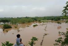 Puerto Libertador bajo agua: desbordamientos por fuertes lluvias en el sur de Córdoba