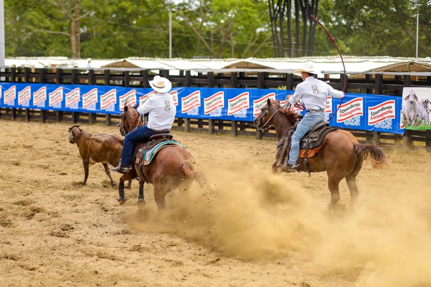 En la recta final de la Feria de la Ganadería, talento y emoción dominan las competencias