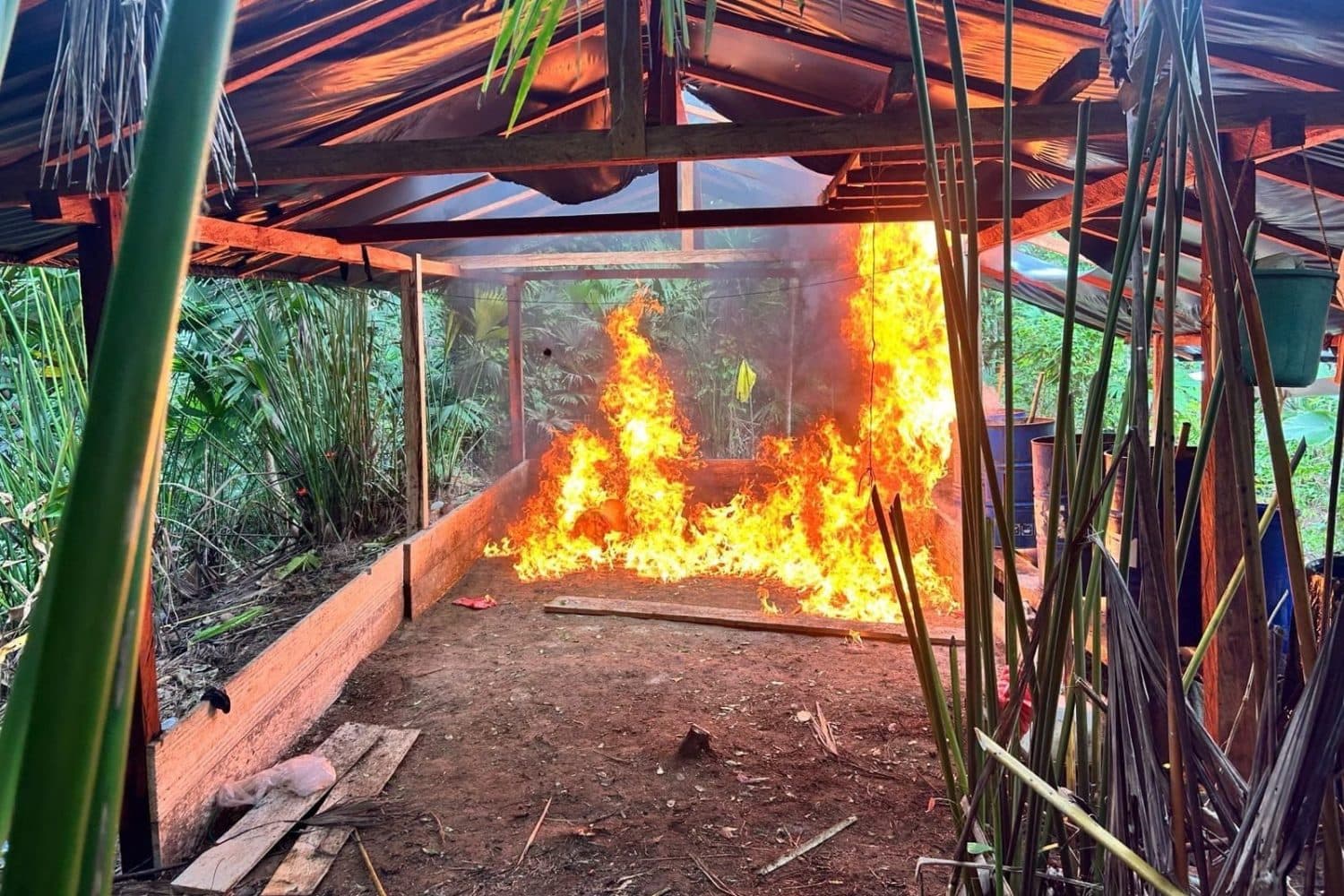 Militares y policías destruyen ocho laboratorios de cocaína del Clan del Golfo en Tierralta