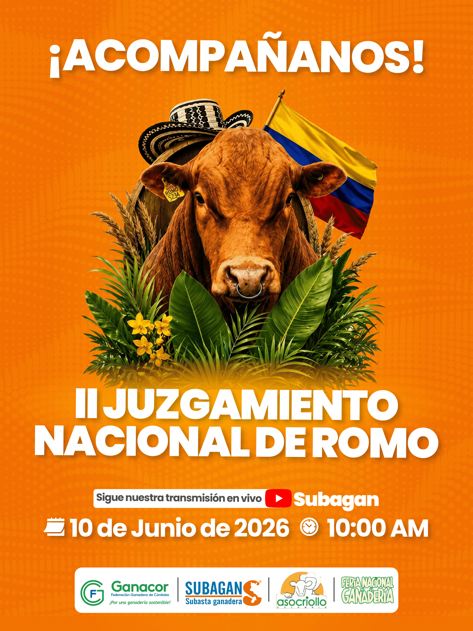 Subagán albergará el II Juzgamiento Nacional de Romo con lo mejor de la ganadería colombiana