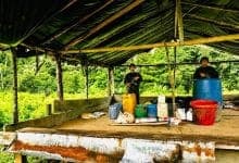 Ejército y Policía destruyen seis laboratorios de droga del Clan del Golfo en Tierralta