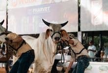La Feria de la Ganadería abre sus puertas con entrada gratis y ambiente de fiesta familiar