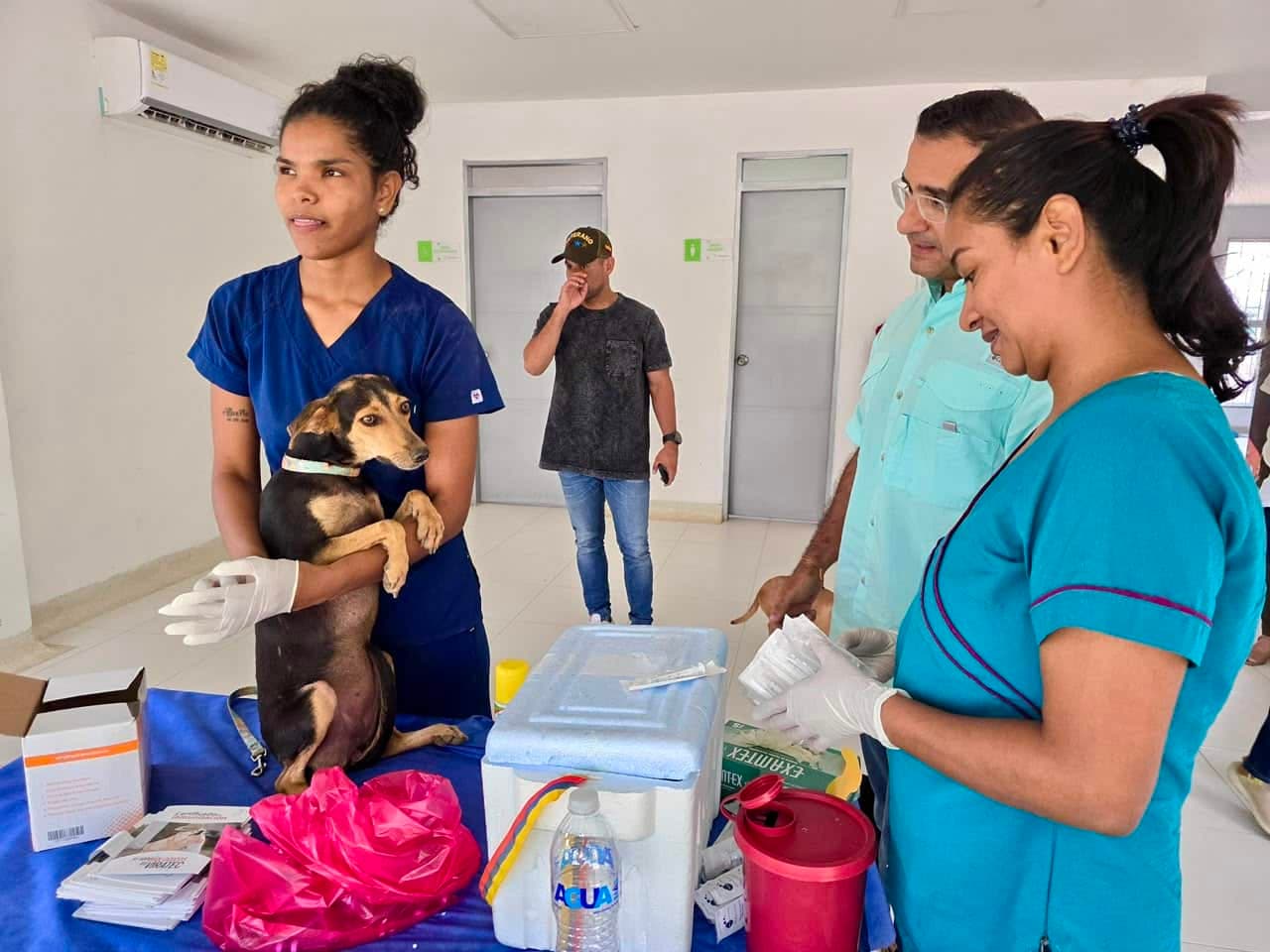 Montería protege a sus mascotas: ya van 86 mil animales vacunados contra la rabia