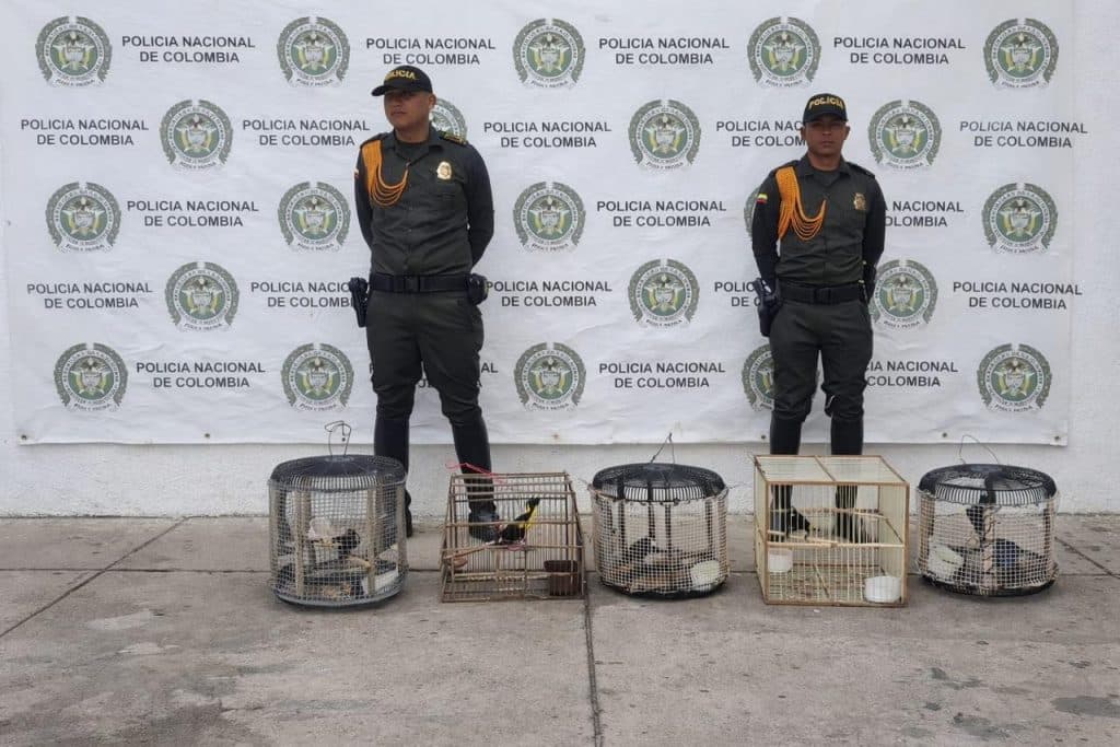 Policía rescata 17 animales silvestres que eran traficados ilegalmente en La Guajira