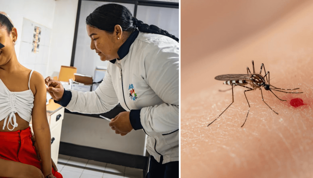 Cesar en emergencia sanitaria: 3.648 casos de dengue y tres muertes alertan a autoridades
