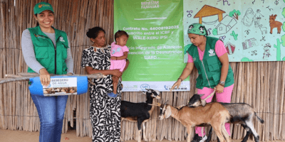 Veinte familias wayuu de Uribia reciben caprinos para mejorar su alimentación
