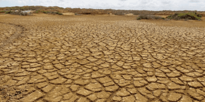 La Guajira enfrenta alerta roja por El Niño: Cruz Roja advierte sobre colapso humanitario