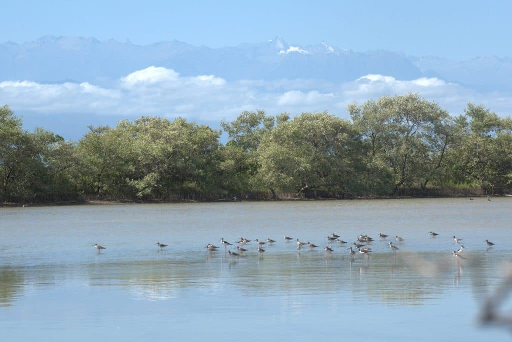 Ecopetrol e Invemar avanzan en protección de mares y costas de La Guajira