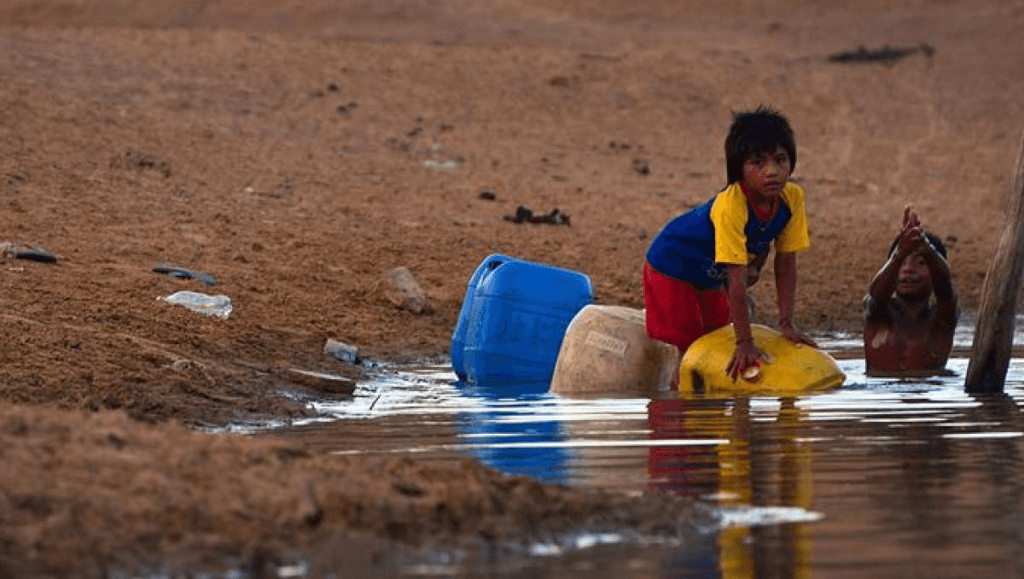 Sequía extrema en La Guajira amenaza miles de animales y la salud de comunidades wayuu