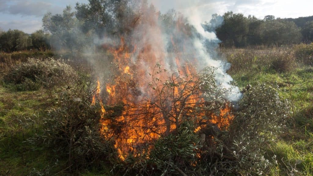 La Guajira en alerta roja: Corpoguajira advierte riesgo crítico de incendios forestales