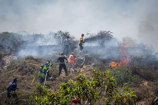 Sequía y calor extremo disparan incendios forestales en el país, alerta la Defensoría del Pueblo