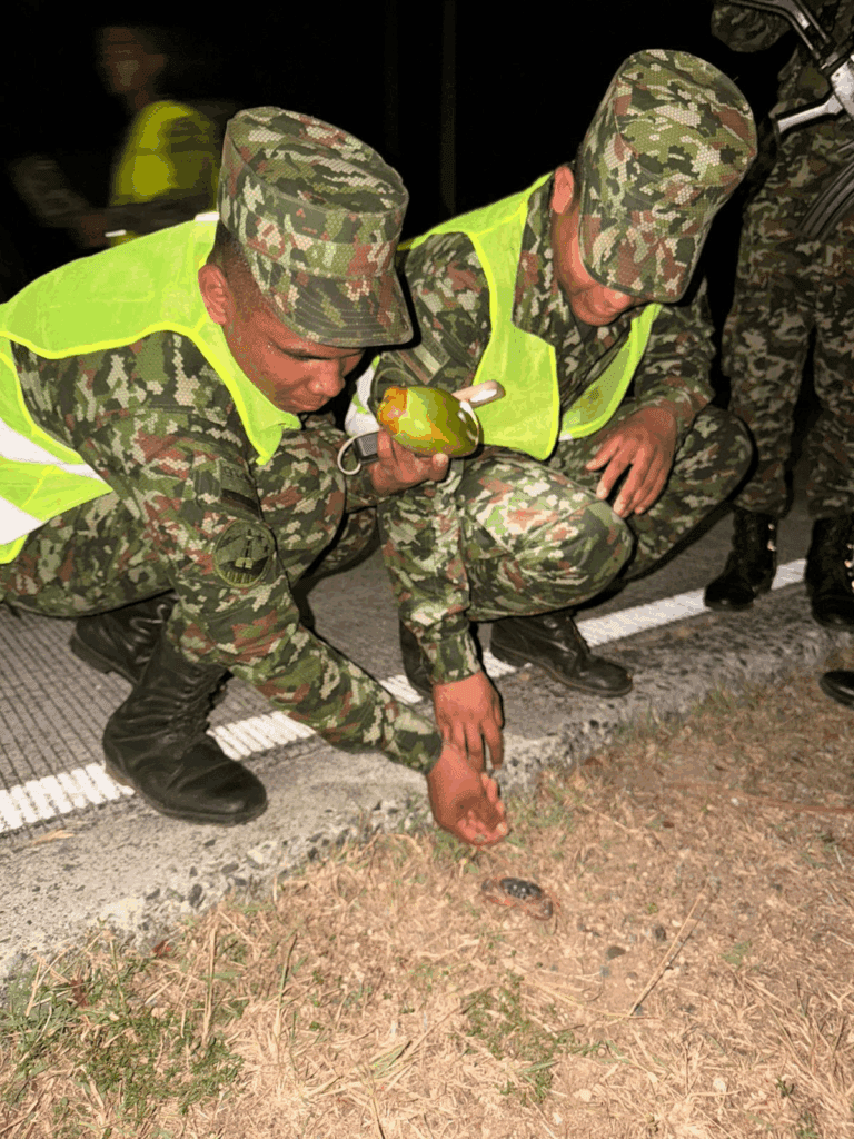 Militares y autoridades protegen el cangrejo negro en San Andrés durante veda