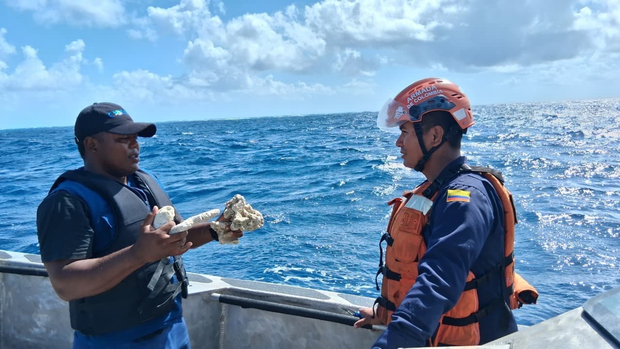 Devuelven 842 kilos de especies marinas decomisadas a las aguas del archipiélago